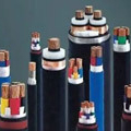 Polyvinyl Chloride Insulated Cable